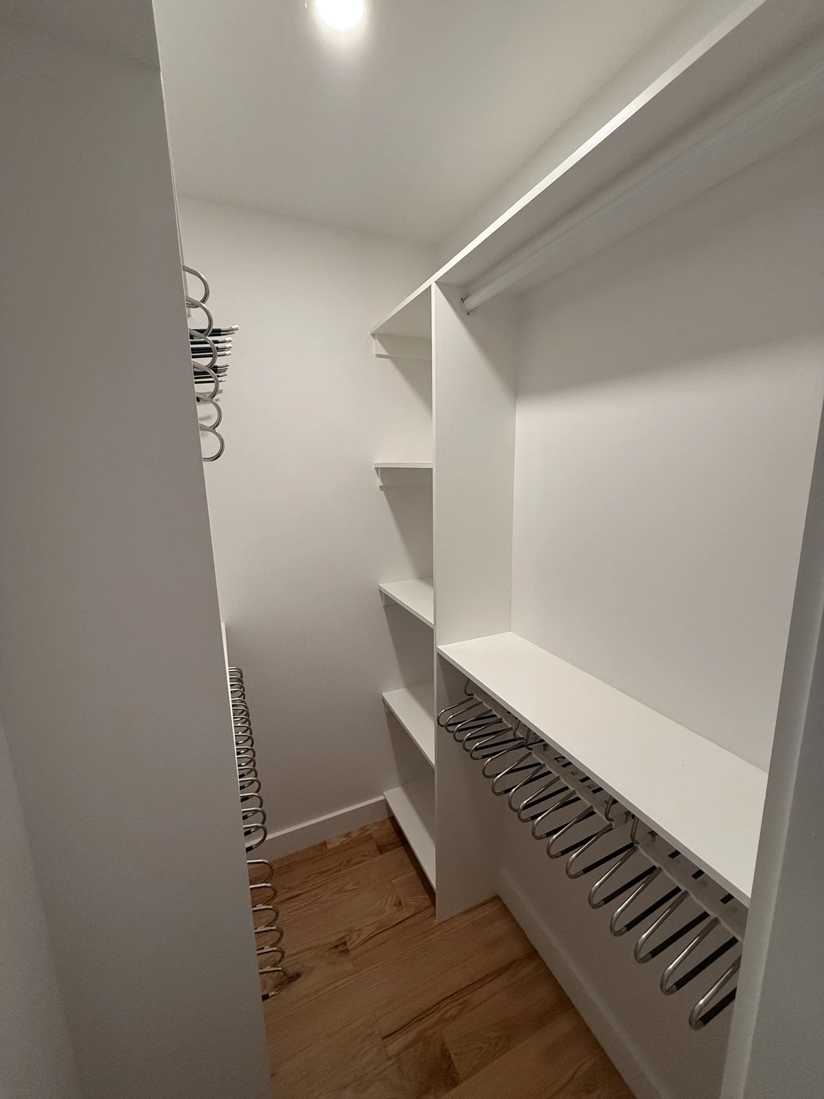 Built-in closet shelving and hanging space