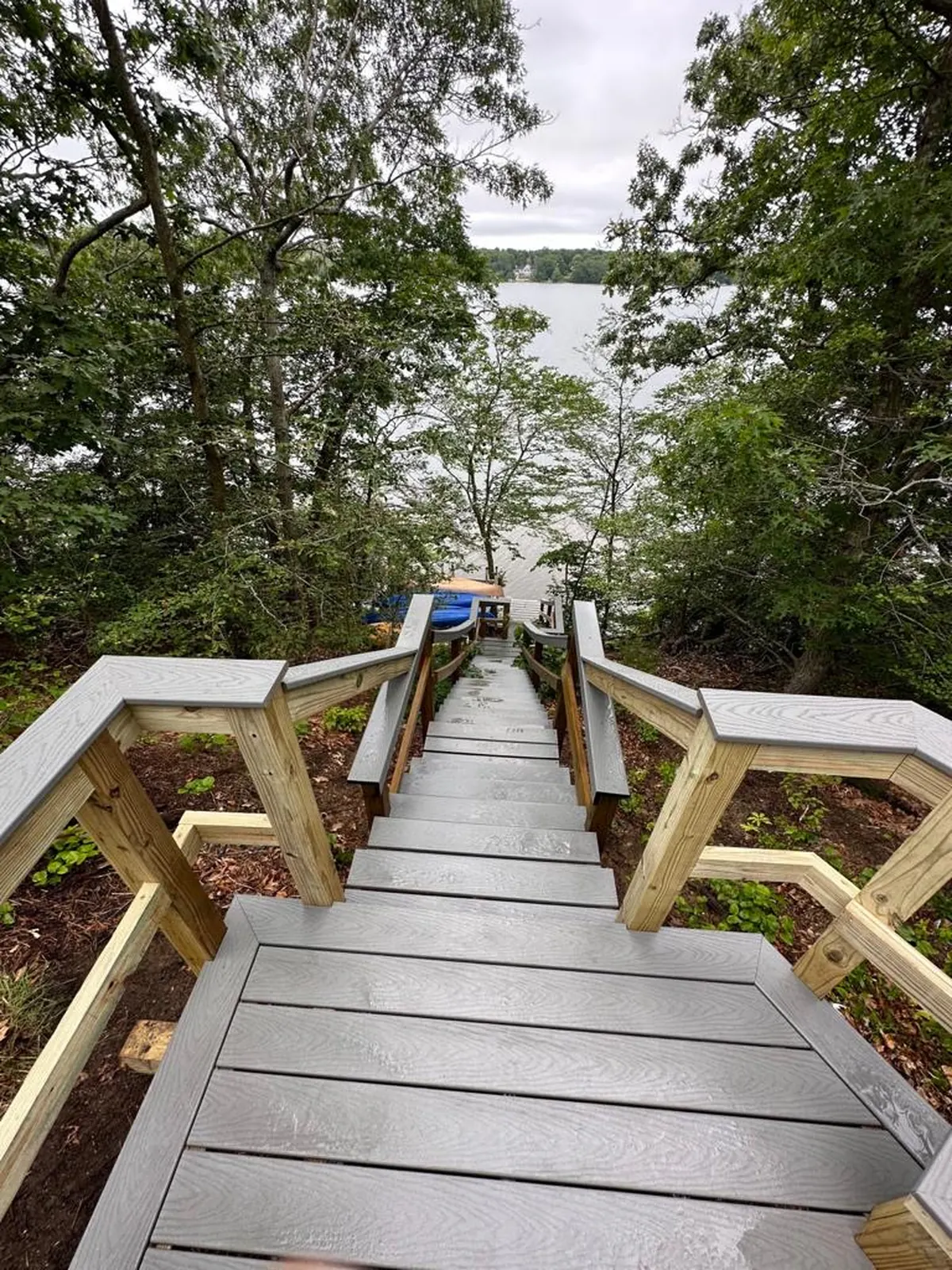 Boardwalk and railing through the woods